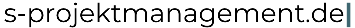 s-projektmanagement
